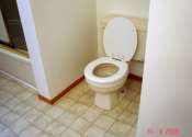 Bathroom repair/reno - after