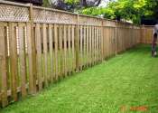 Fence with lattice